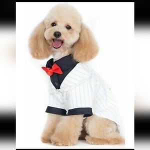 NEW Alfie White Black Stripe Formalwear Bowtie Tie Dog Puppy Tux Tuxedo …